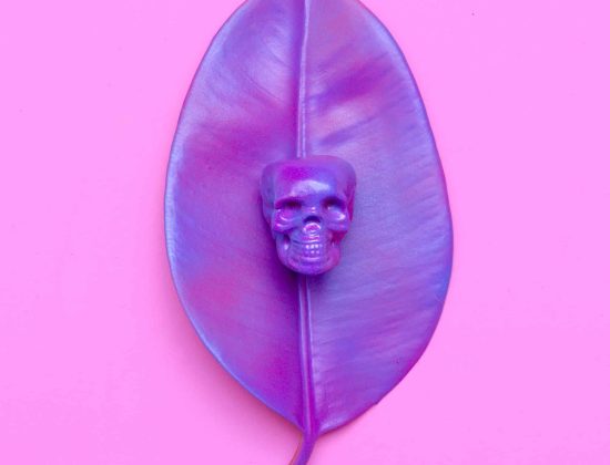 purple-art-leaf-and-skull-minimal-fashion-design-YKQCFS3.jpeg